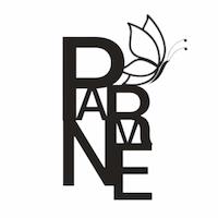 اکسسوری پروانه